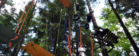 Park linowy, las przygod, wspinaczkowa frajda dla calej rodziny